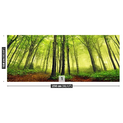 Papel de parede Floresta de Nevoeiro