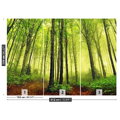 Papel de parede Floresta de Nevoeiro