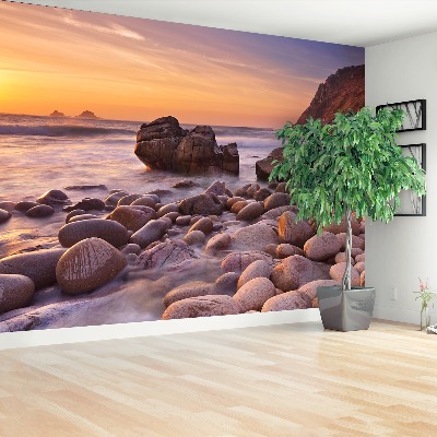 Mural de parede Praia rochosa