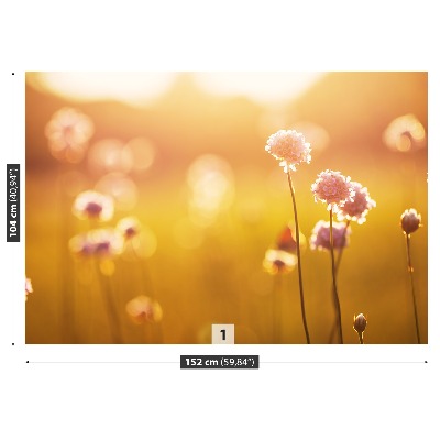 Mural de parede flores rosas