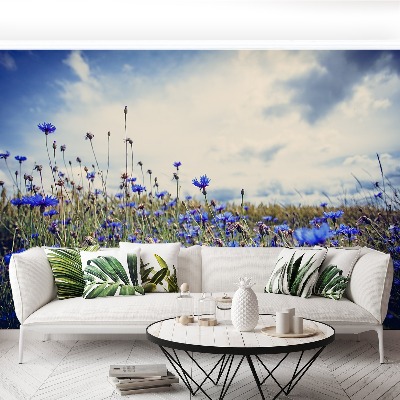 Papel de parede Centáureas