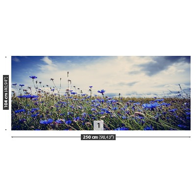 Papel de parede Centáureas