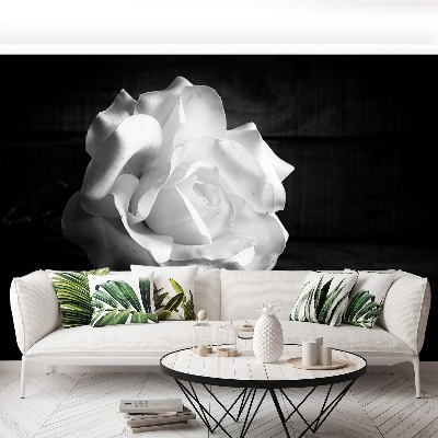 Mural de parede Rosa Branca