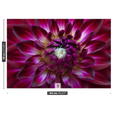 Mural de parede Áster roxo