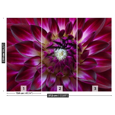 Mural de parede Áster roxo