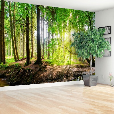 Mural de parede Floresta do sol