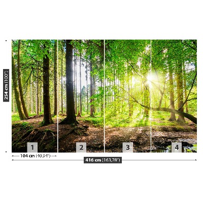 Mural de parede Floresta do sol