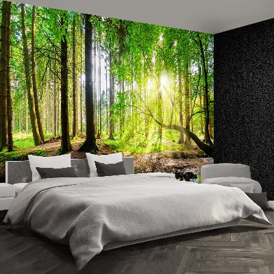 Mural de parede Floresta do sol
