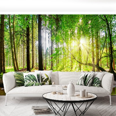 Mural de parede Floresta do sol