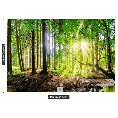 Mural de parede Floresta do sol