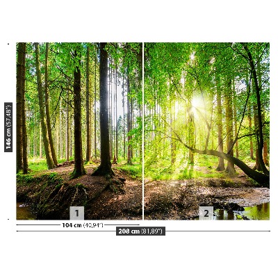Mural de parede Floresta do sol