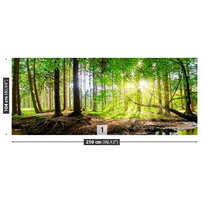 Mural de parede Floresta do sol