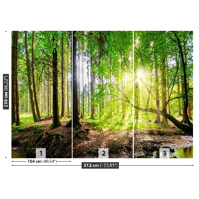 Mural de parede Floresta do sol