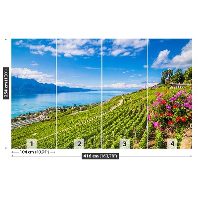 Papel de parede Terraços de vinha