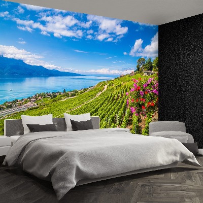 Papel de parede Terraços de vinha