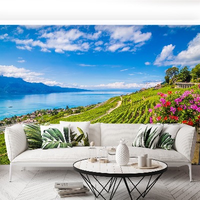 Papel de parede Terraços de vinha