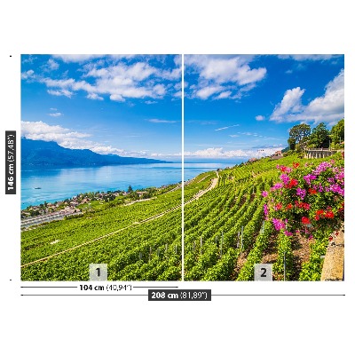 Papel de parede Terraços de vinha