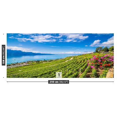 Papel de parede Terraços de vinha