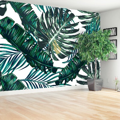 Papel de parede Folhas de palmeira