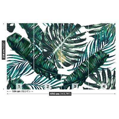 Papel de parede Folhas de palmeira