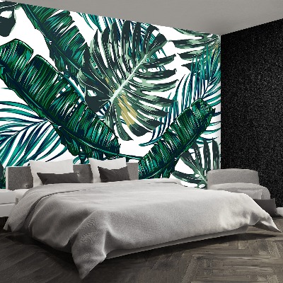 Papel de parede Folhas de palmeira