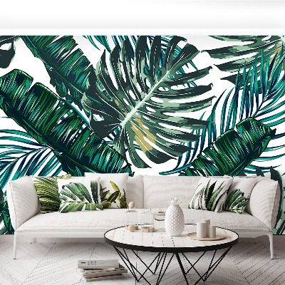 Papel de parede Folhas de palmeira