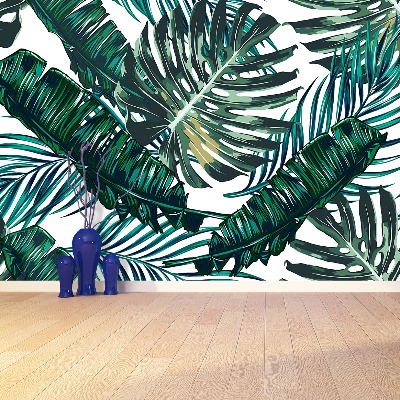 Papel de parede Folhas de palmeira