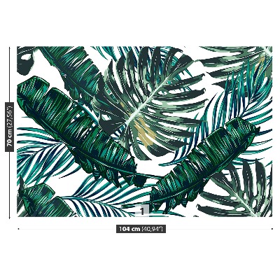 Papel de parede Folhas de palmeira