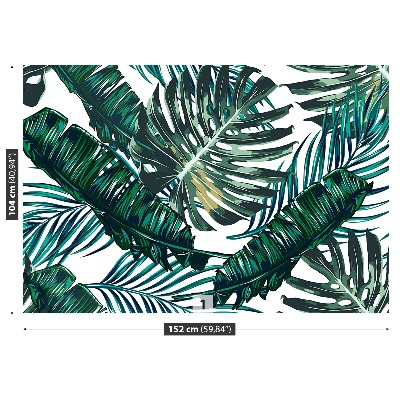 Papel de parede Folhas de palmeira