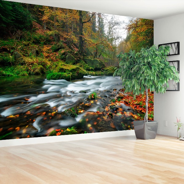 Papel de parede Riacho de outono