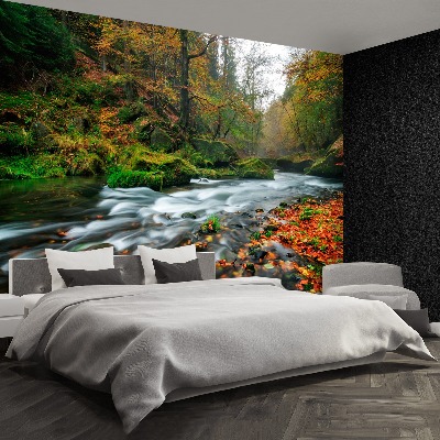 Papel de parede Riacho de outono