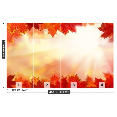 Papel de parede Folhas de bordo