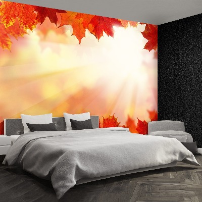 Papel de parede Folhas de bordo