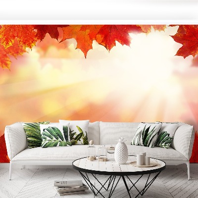 Papel de parede Folhas de bordo