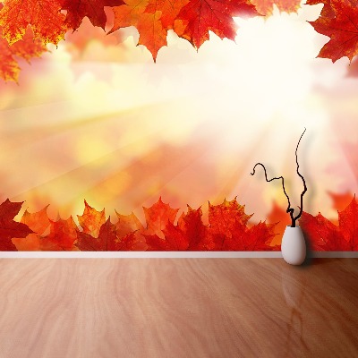 Papel de parede Folhas de bordo