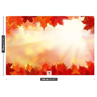 Papel de parede Folhas de bordo