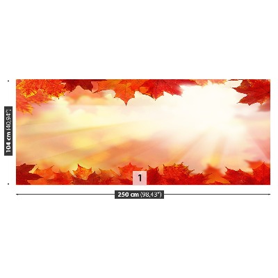 Papel de parede Folhas de bordo