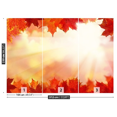 Papel de parede Folhas de bordo