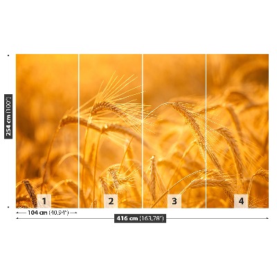 Mural de parede Campo de trigo