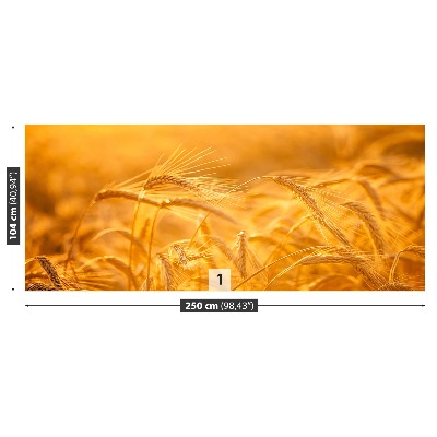 Mural de parede Campo de trigo