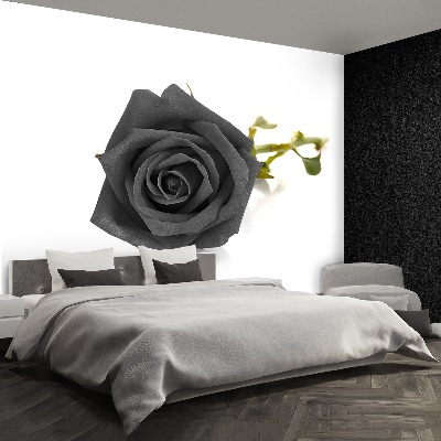 Mural de parede Rosa negra