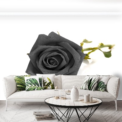 Mural de parede Rosa negra