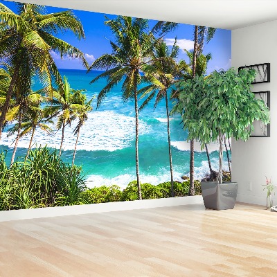 Papel de parede Palm Beach