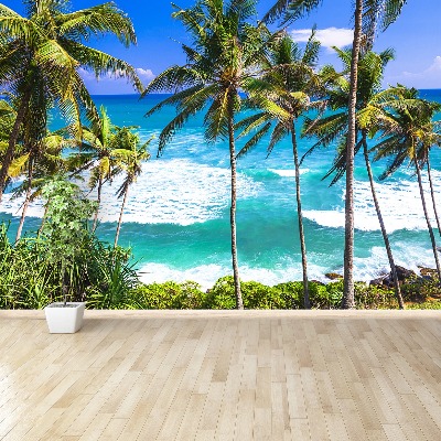 Papel de parede Palm Beach