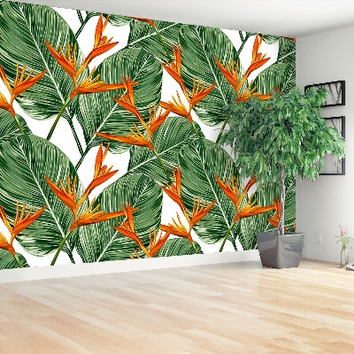 Papel de parede Strelitzia reginae