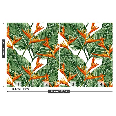 Papel de parede Strelitzia reginae