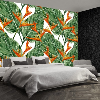 Papel de parede Strelitzia reginae