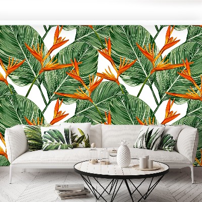 Papel de parede Strelitzia reginae