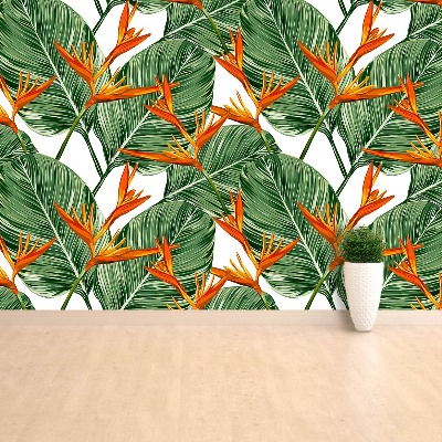 Papel de parede Strelitzia reginae
