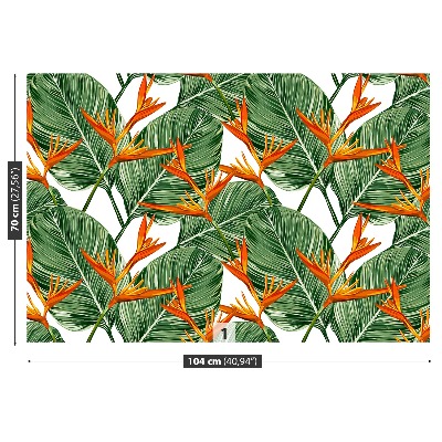 Papel de parede Strelitzia reginae